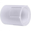 Genova Products Sch. 40 Female Adapters