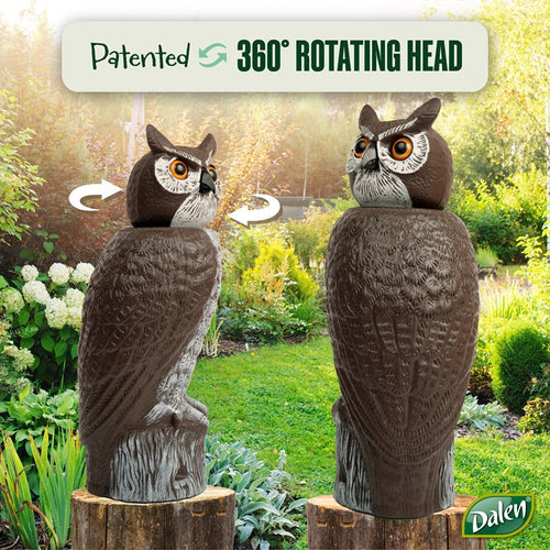Dalen Rotating Head Owl