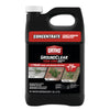 Ortho GroundClear Year Long Vegetation Killer2 Concentrate