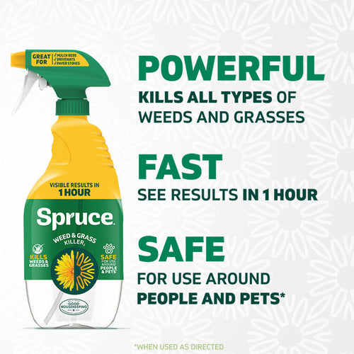 Spruce 24oz Spray Weed & Grass Killer