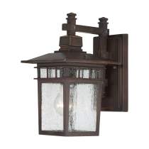 Satco 60-3492 Cove Neck 1 LGT Outdoor Wall