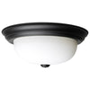 Satco 60-128 2 LT - 13 Flush Fixture